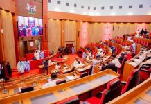 THEWILL EDITORIAL: The Senate Again! Senate