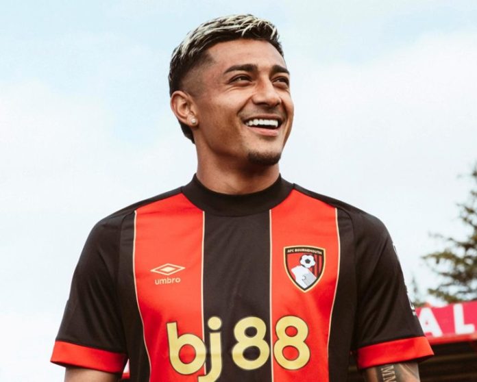 araujo araujo