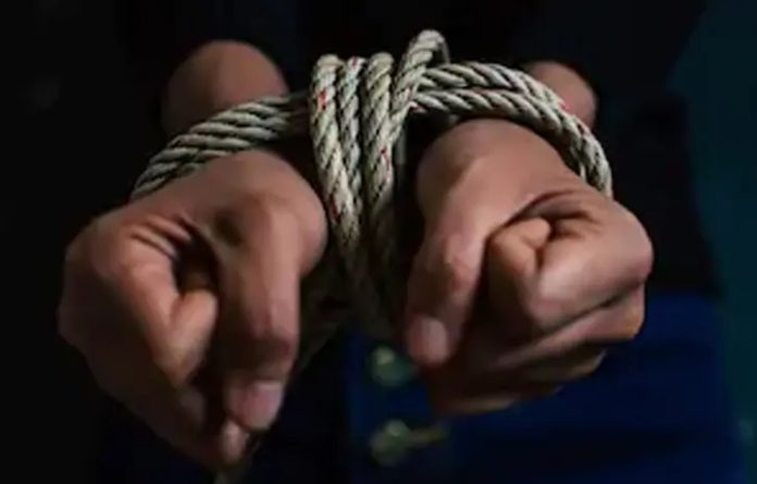 kidnappers kidnappers