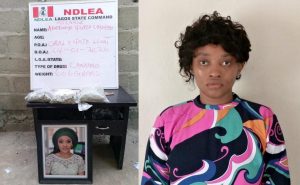 Ndlea - THEWILL NEWS MEDIA Ndlea