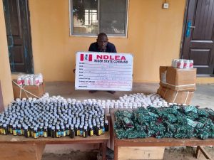 Ndlea - THEWILL NEWS MEDIA Ndlea