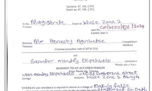 Birth certificate - THEWILL NEWS MEDIA Birth certificate