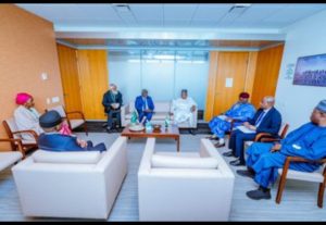 United Nations (UN) Security Council. Vice President Kashim Shettima, Alexander Stubb