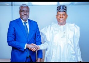 United Nations (UN) Security Council. Vice President Kashim Shettima,