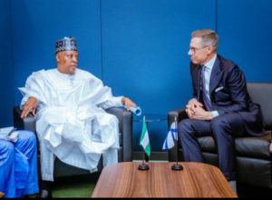 United Nations (UN) Security Council. Vice President Kashim Shettima, Alexander Stubb