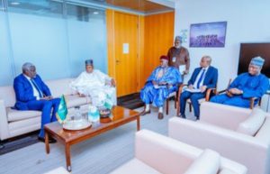 United Nations (UN) Security Council. Vice President Kashim Shettima, Alexander Stubb