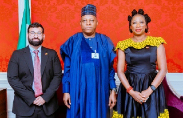 Shettima Mastercard - THEWILL NEWS MEDIA Shettima Mastercard