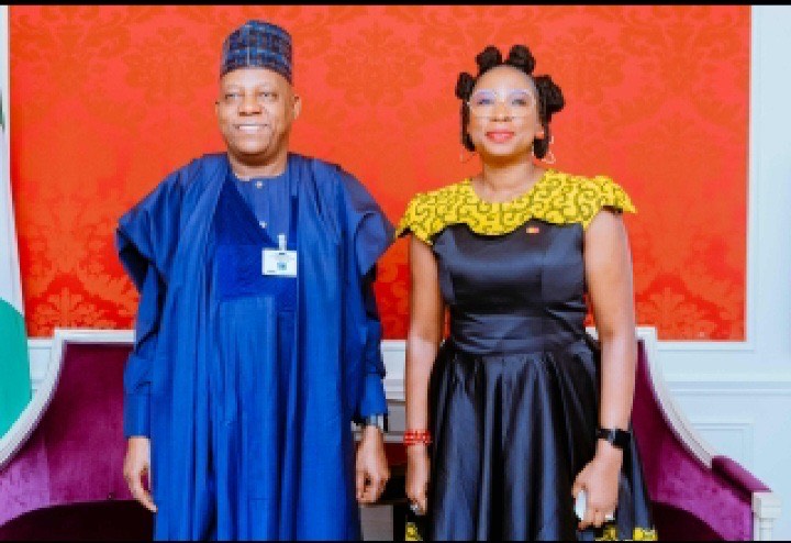 Shettima Mastercard - THEWILL NEWS MEDIA Shettima Mastercard