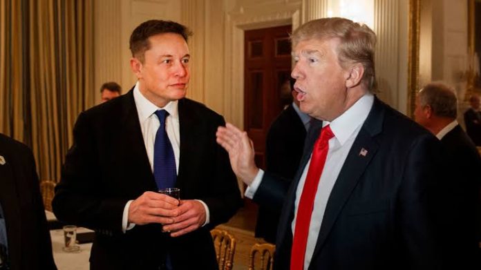 Elon Musk and Donald Trump