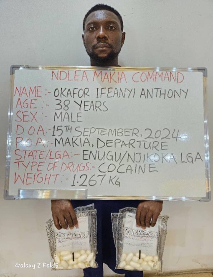 NDLEA - THEWILL NEWS MEDIA NDLEA