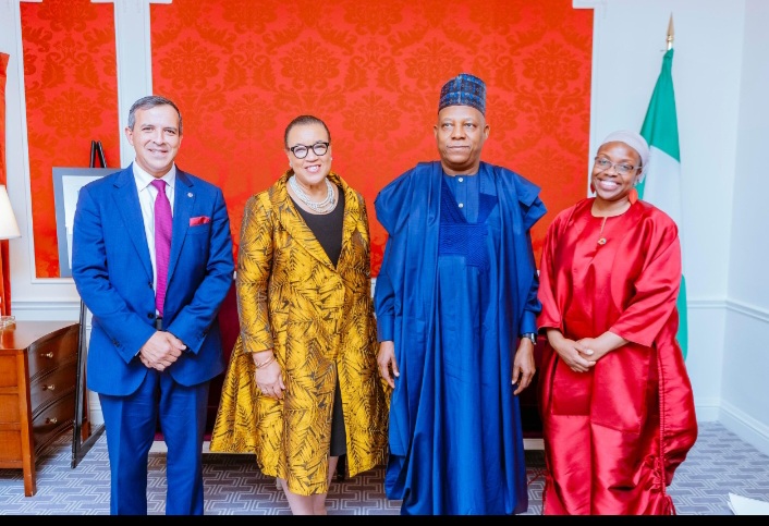 Shettima UN ecretary general - THEWILL NEWS MEDIA