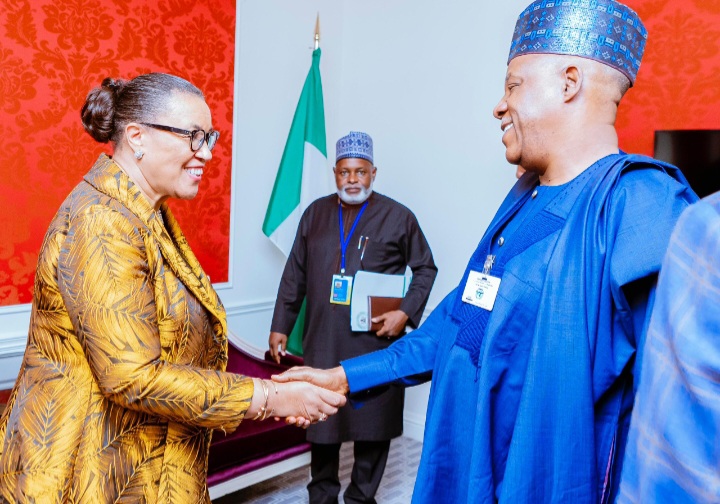 Shettima UN - THEWILL NEWS MEDIA