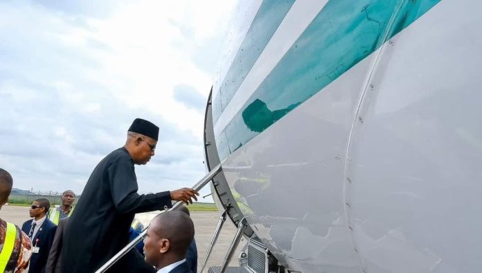 Shettima leaves