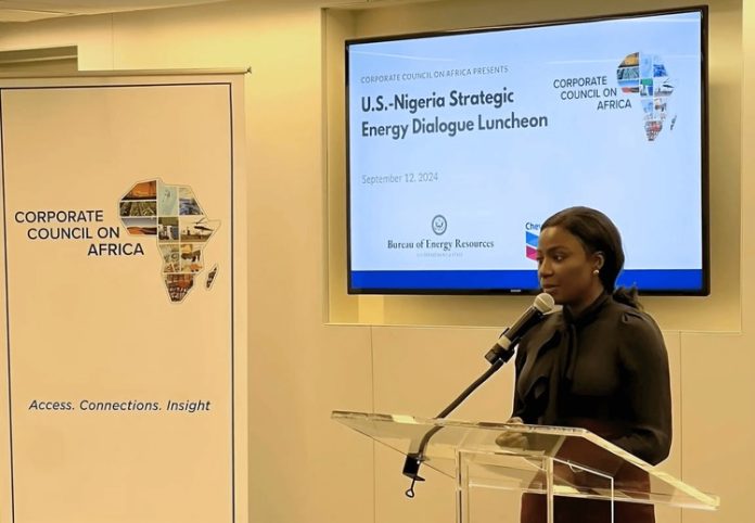 Special Adviser to the President on Energy, Olu Verheijen, speaking at the inaugural US-Nigeria Strategic Energy Dialogue, hosted by the US State Department in Washington, DC on Tuesday.