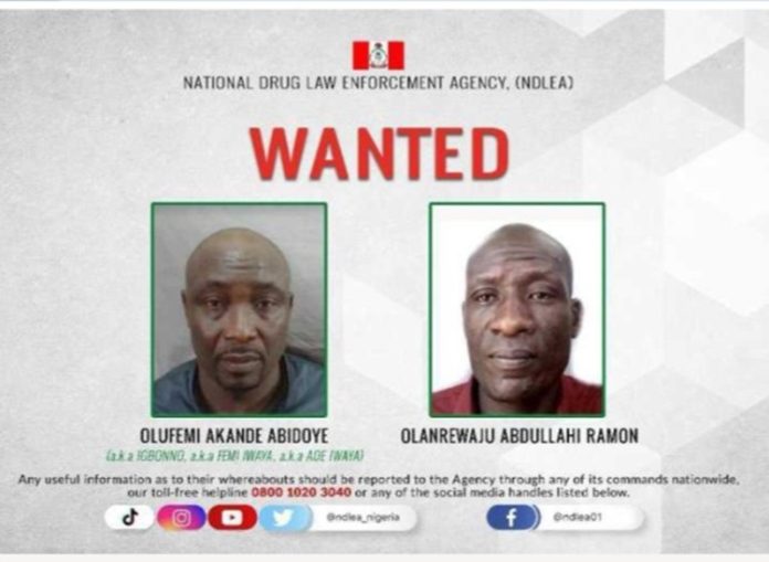 ndlea wanted ndlea wanted