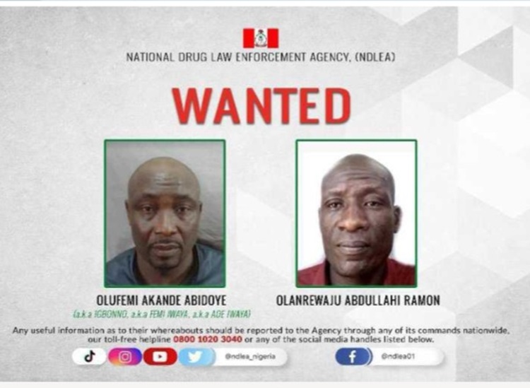 ndlea wanted - THEWILL NEWS MEDIA ndlea wanted