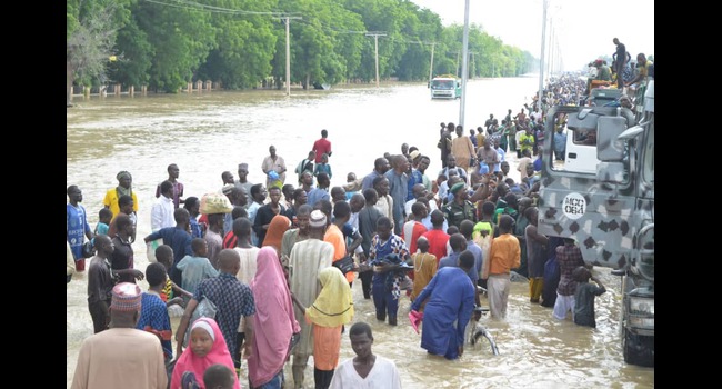 Flood yoruba community in borno