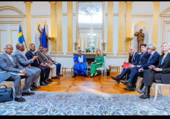 Shettima Woos Investors At Sweden Business Meeting; - THEWILL NEWS MEDIA Shettima Woos Investors At Sweden Business Meeting