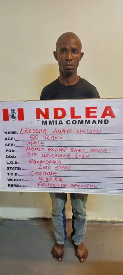 Anayo - THEWILL NEWS MEDIA Anayo