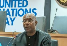 UN In Nigeria: Charting A Path Towards A Brighter Future Un in nigeria