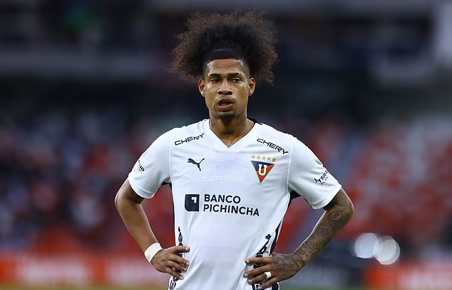 Marco Angulo