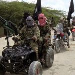 Shanono: Bandits Abduct Five Nursing Mothers, Cart Away 50 Cows Terrorists-Attack, Bandits