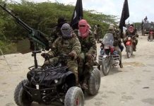 THEWILL EDITORIAL: Farmers at the Mercy of Bandits Terrorists-Attack, Bandits
