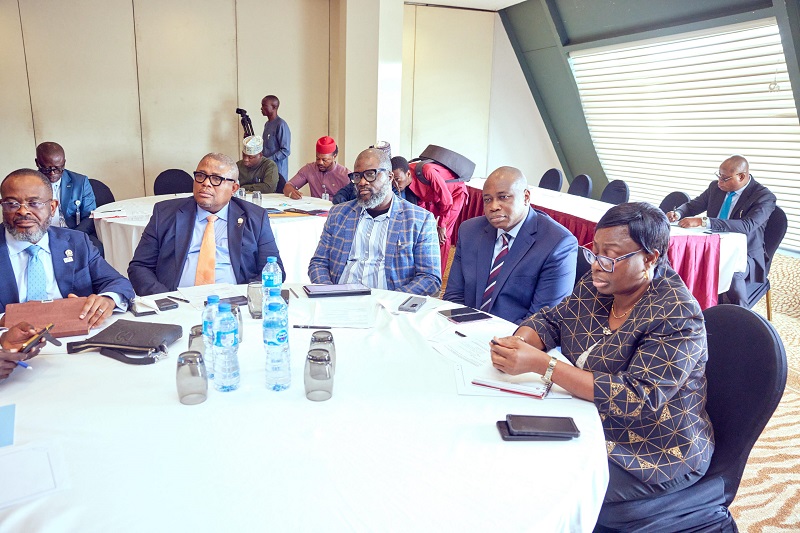 keyamo airline operators (1) - THEWILL NEWS MEDIA keyamo airline operators (1)