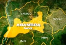 THEWILL EDITORIAL: 2027 and Anambra Governorship Poll Anambra State
