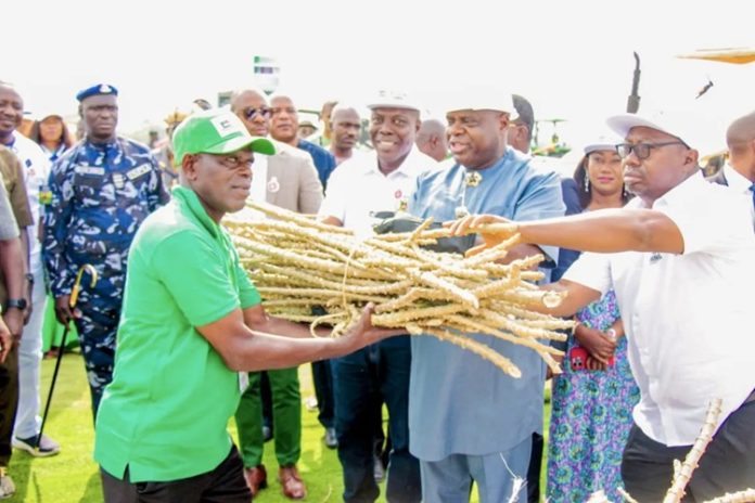 Bayelsa Unveils Dry Season Farming Initiative Bayelsa Unveils Dry Season Farming Initiative