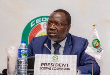 THEWILL EDITORIAL: Nigeria’s Laudable Gesture Dr Omar Touray