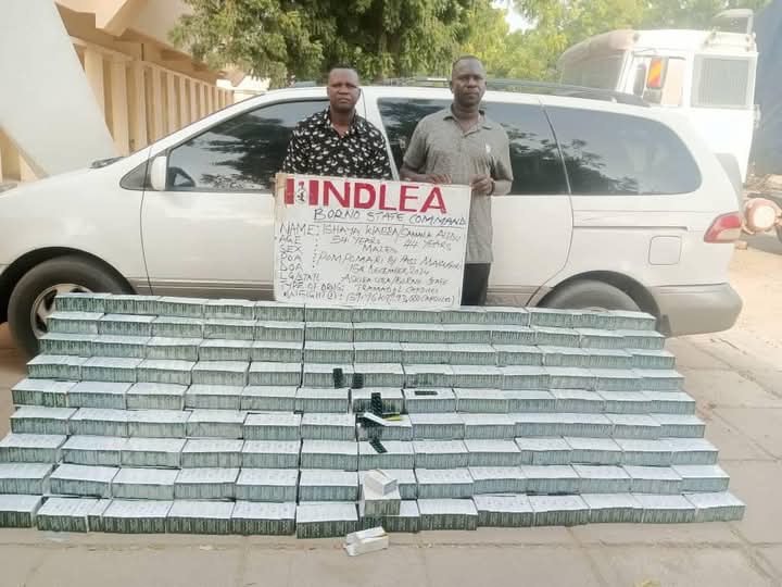 Ishaya Borno - THEWILL NEWS MEDIA Ishaya Borno
