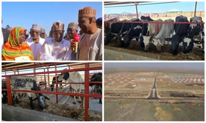 Zulum’s Ranch