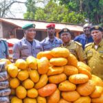 Ogun Customs Seizes Ammunition, Cannabis In Record-Breaking Haul Nigeria Customs Service, Ogun 1 Area Command