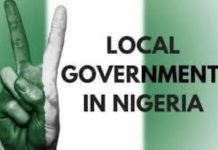 THEWILL EDITORIAL: Decision Month on LGA Autonomy Local Government