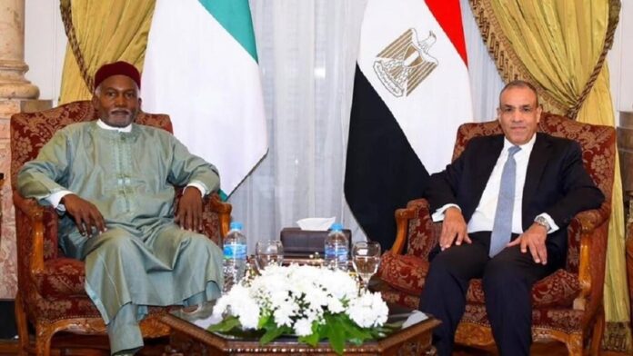 Nigeria-Egypt-to-Elevate-Diplomatic-Ties-Expand-Partnership