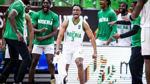 Nigeria's D'Tigers Nigeria's D'Tigers