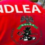 NDLEA Arrests Major Drug Distributor In Bayelsa, Seizes Opioid Worth Millions NDLEA