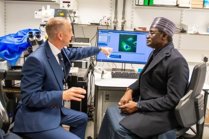 Yobe, Firm Launch Research To Combat Kidney Disease