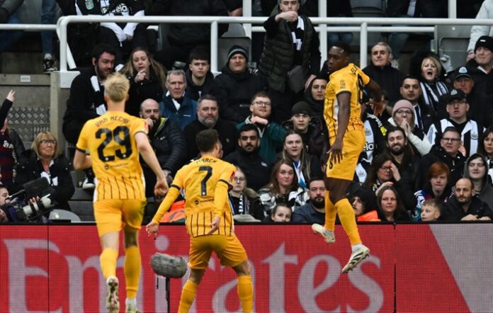 Brighton vs Newcastle