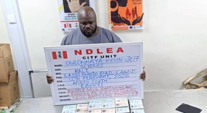 ogbonaya kelvin