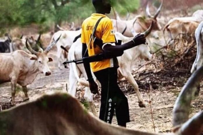 Armed Herders- Fulani