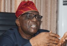 OPINION: On the Killing of ISWAP Commander Al-Manuki Bayo Onanuga