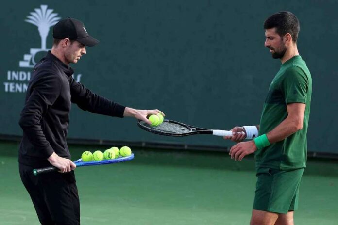 Andy Murray will no longer coach Novak Djokovic Andy Murray will no longer coach Novak Djokovic