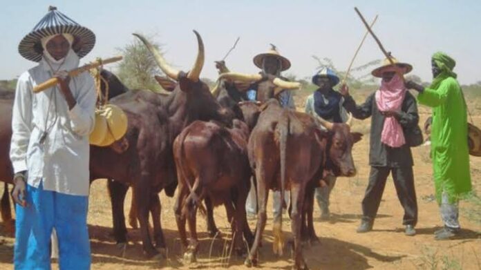 Herders Herders