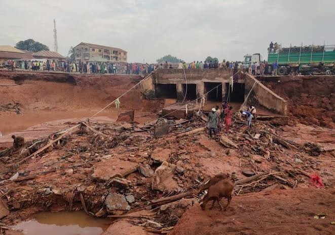 Niger flood
