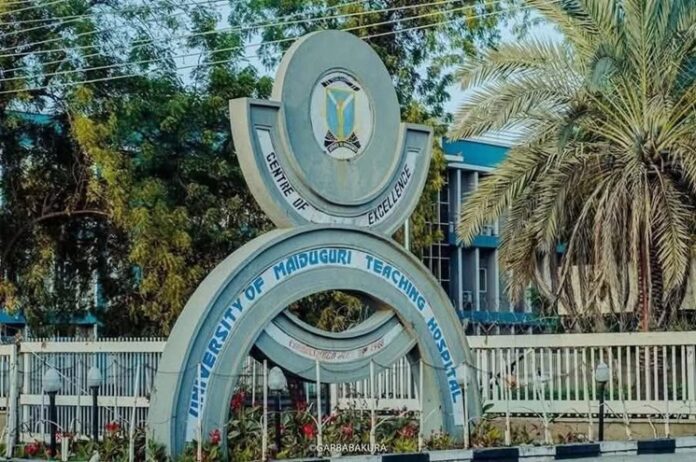 University of Maiduguri