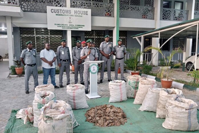 Kano Jigawa Customs Kano Jigawa Customs