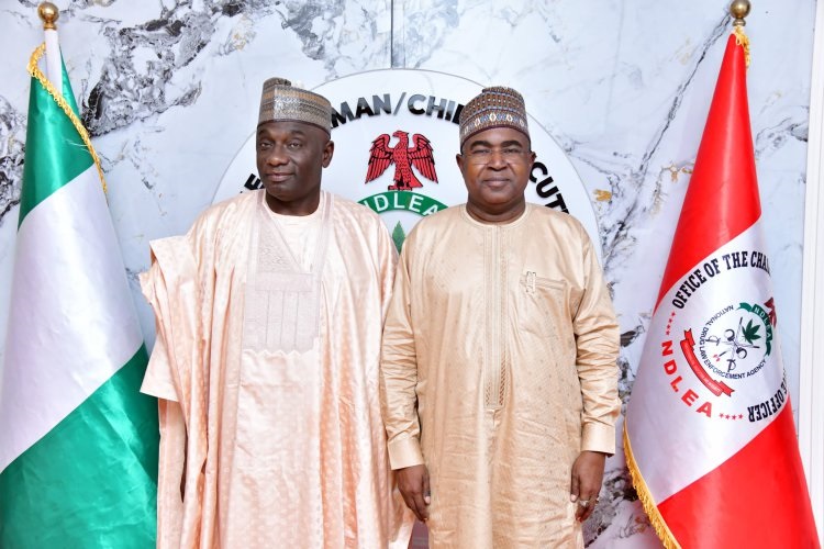 NDLEA BOSS - THEWILL NEWS MEDIA NDLEA
