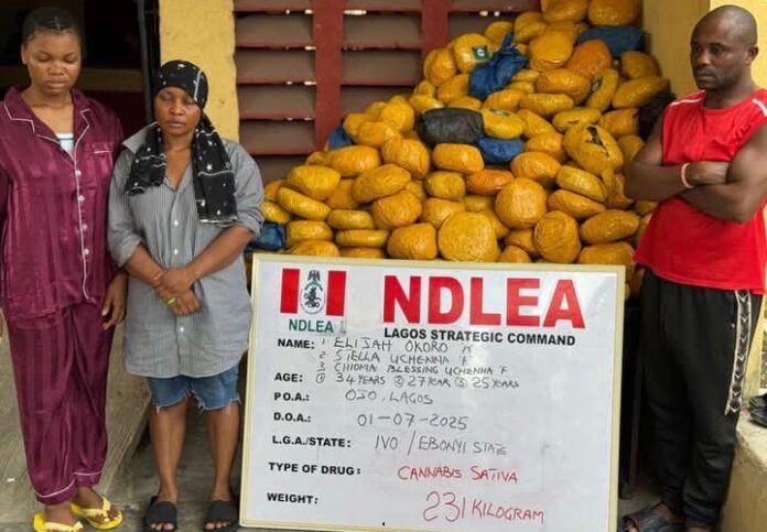 NDLEA arrest